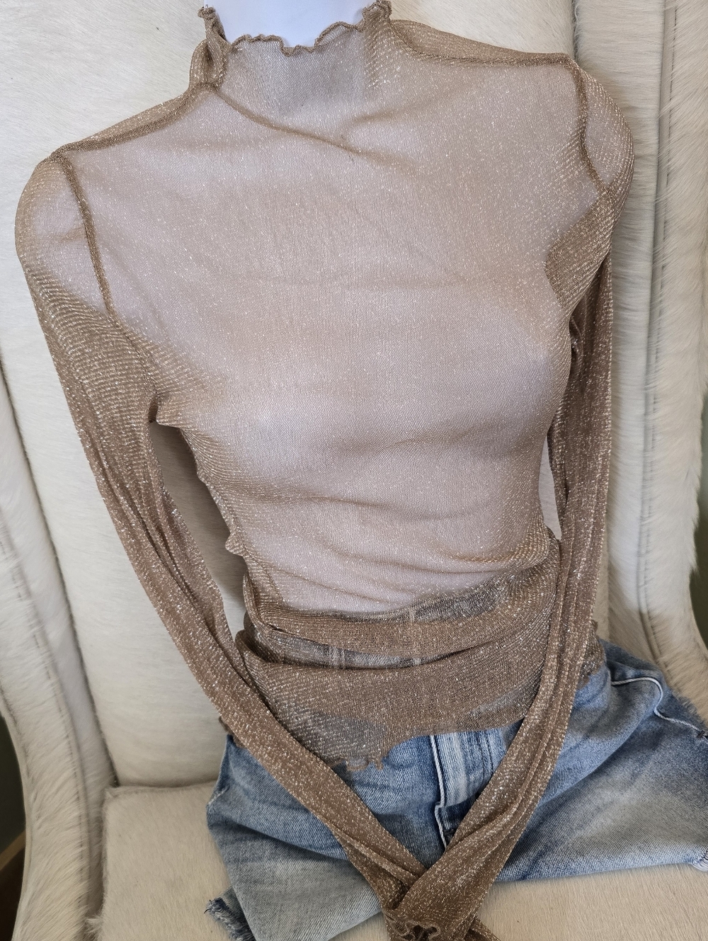 Sheer Long Sleeve